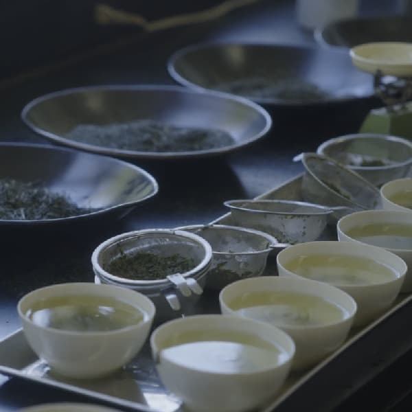 An Unforgettable First Sip